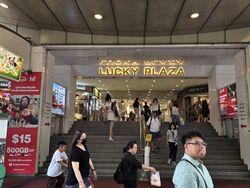 Lucky Plaza (D9), Shop House #515952871